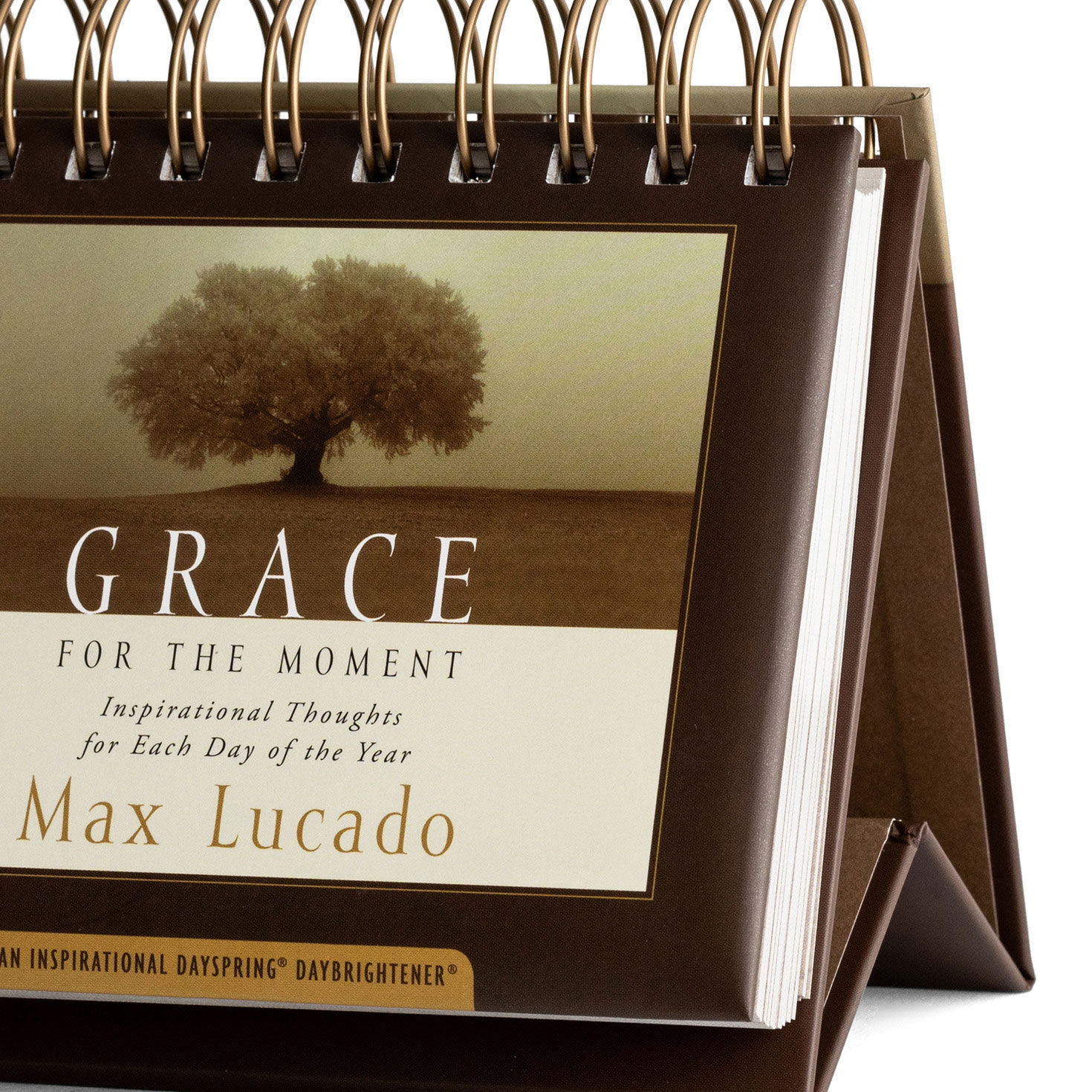 Max Lucado Grace for the Moment Perpetual Calendar closeup view image number 5