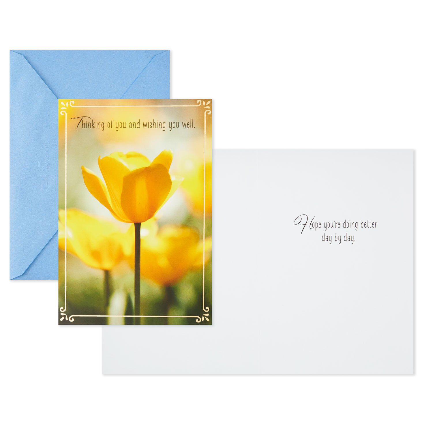 Nature Scenes Assorted Support and Sympathy Cards, Pack of 8, , large image number 2