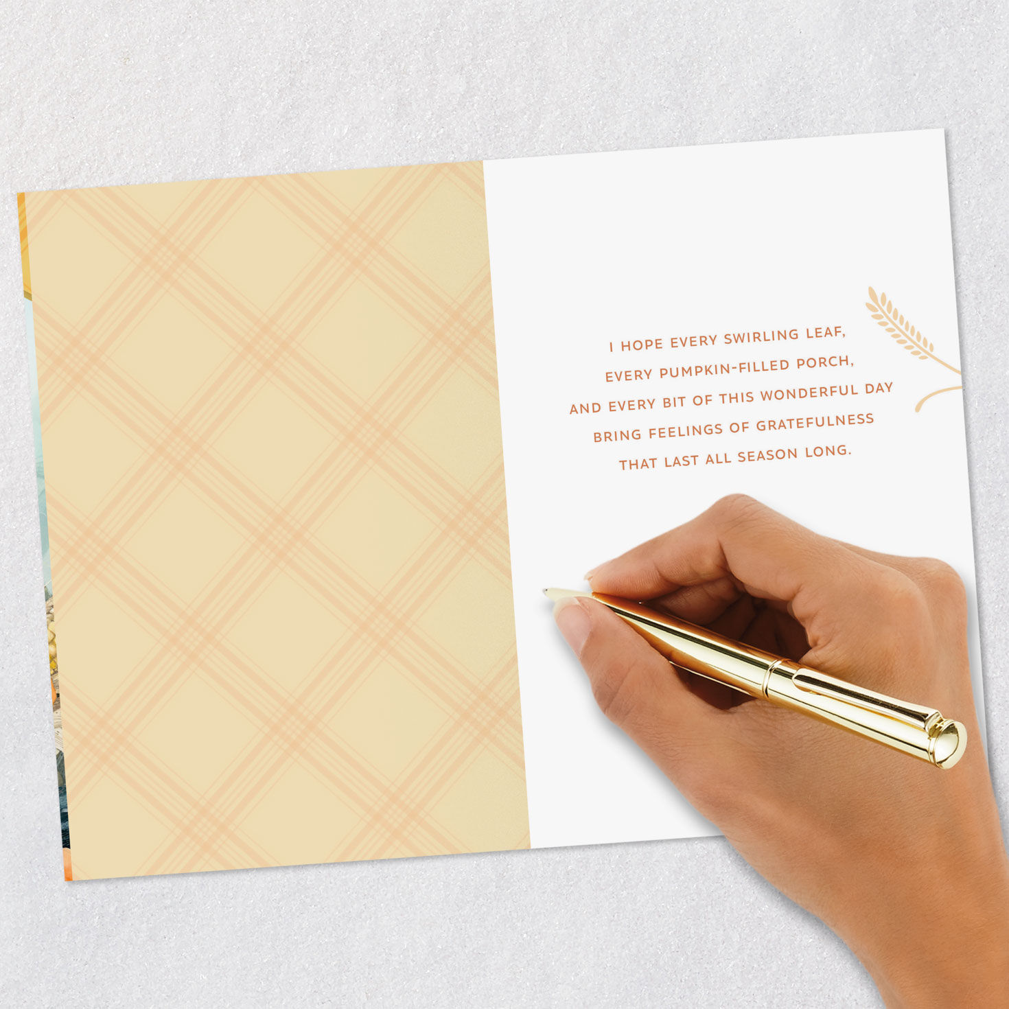 Marjolein Bastin Feelings of Gratefulness Thanksgiving Card for only USD 3.59 | Hallmark