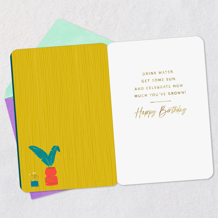 Treat Yourself Like a Plant Funny Birthday Card, , large image number 3