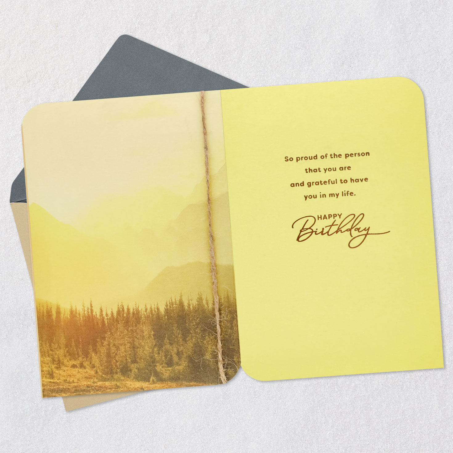 Sunny Mountain Landscape Godson Birthday Card Open card with envelope image number 3