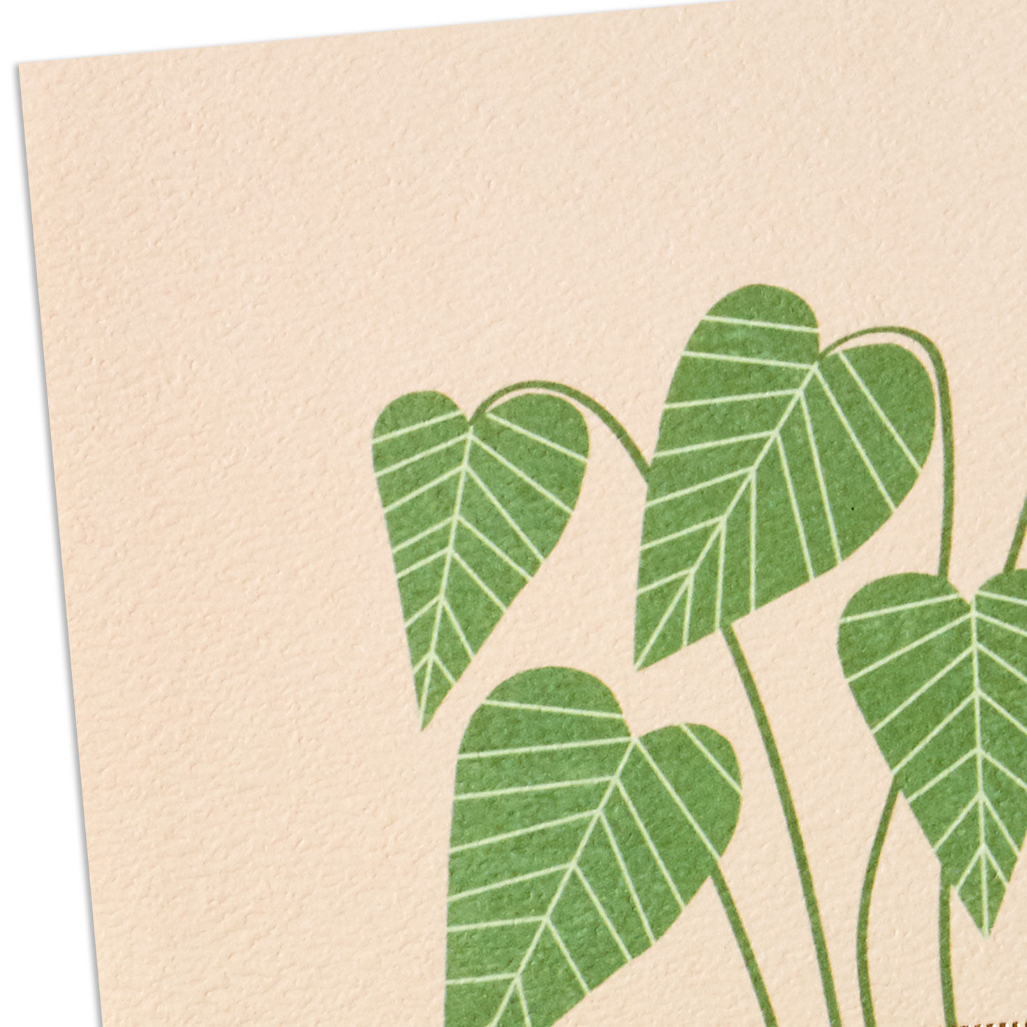 Houseplant on Blush Signature Blank Card Card Front Detail image number 4