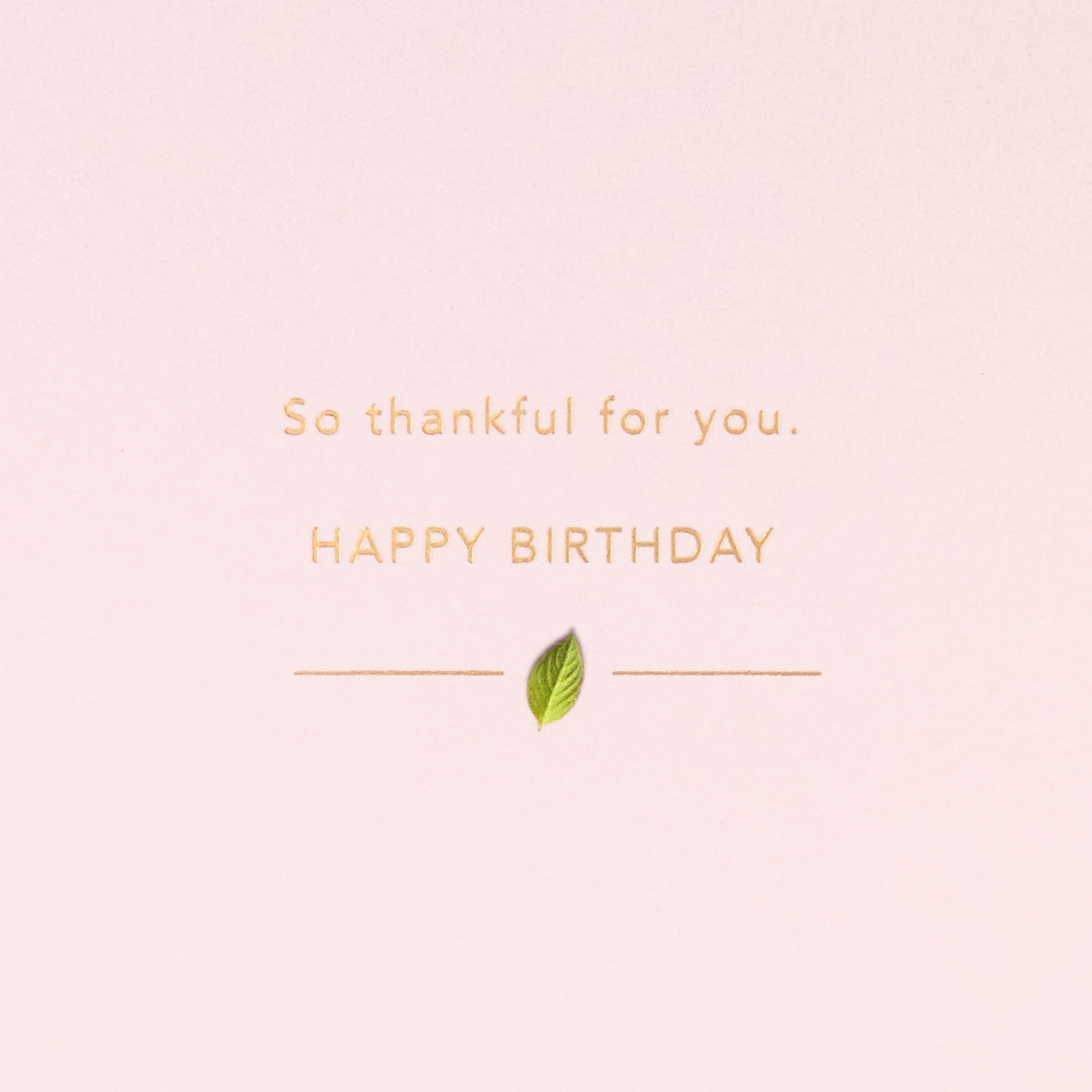 Gardening Hobby Birthday Card Sentiment  image number 2