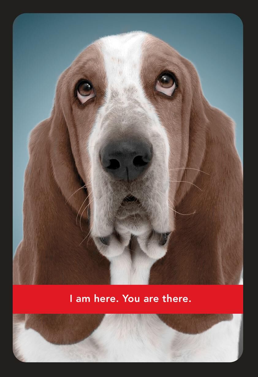 Basset Hound Miss You Card