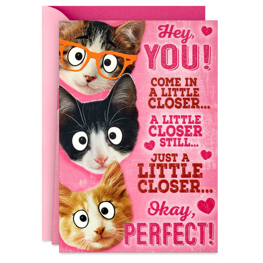 Group Hug Funny Pop-Up Valentine's Day Card From Cat, 