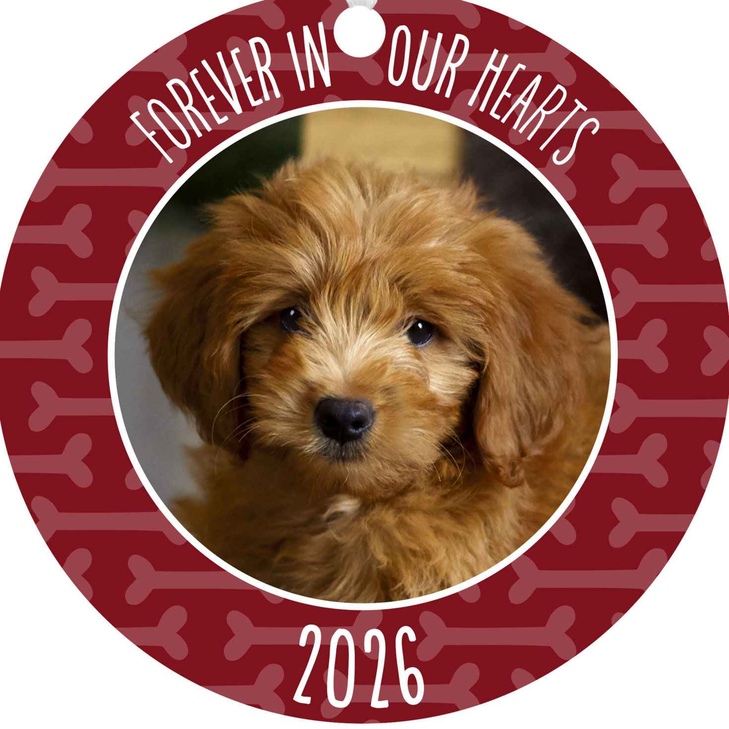 Pet Memorial Round Metal Personalized Ornament, Custom Photo and Text for only USD 17.99 | Hallmark