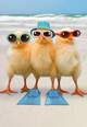 Three Hot Chicks Funny Get Well Card, , large image number 1