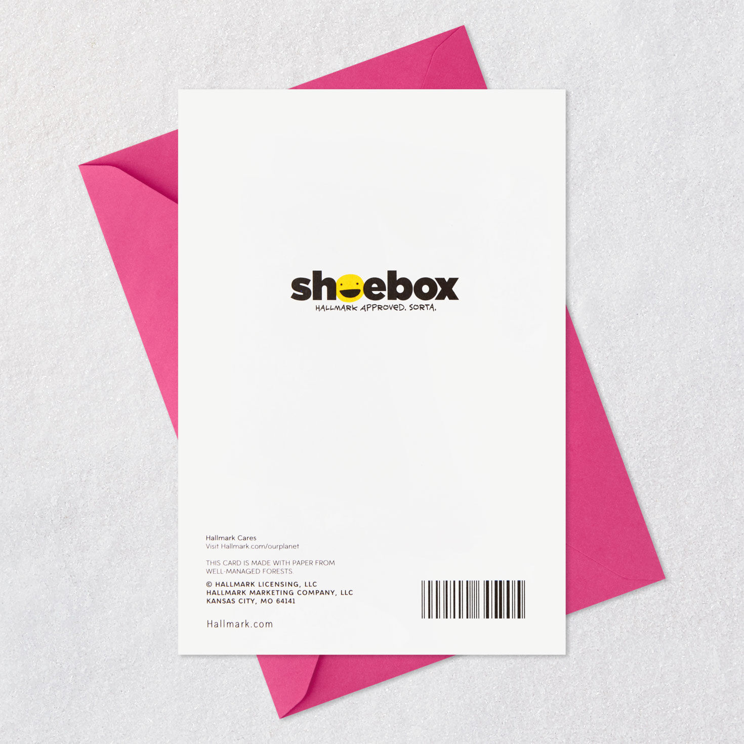 Woman in Retro Lawn Chair Funny Mother's Day Card Card Back with Envelope image number 7