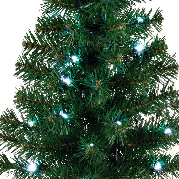Mini ShowToppers Evergreen Christmas Tree With Light, 17", , large image number 3