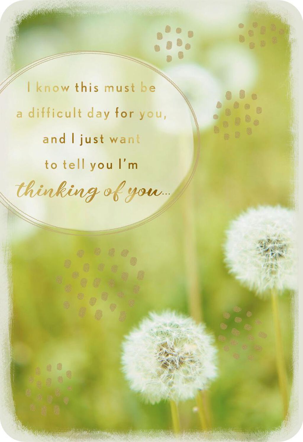 peaceful memories today thinking of you card greeting cards hallmark