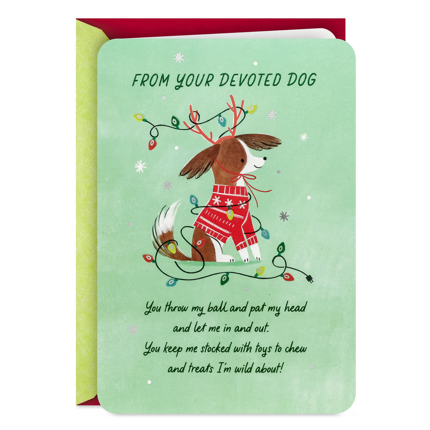 With Thanks for a Friend Like You Funny Christmas Card from Dog