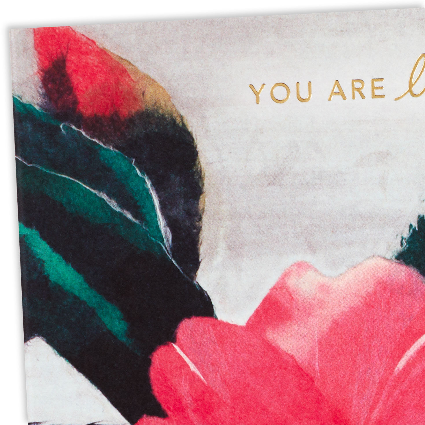 ArtLifting You Are Loved Encouragement Card for only USD 3.99 | Hallmark
