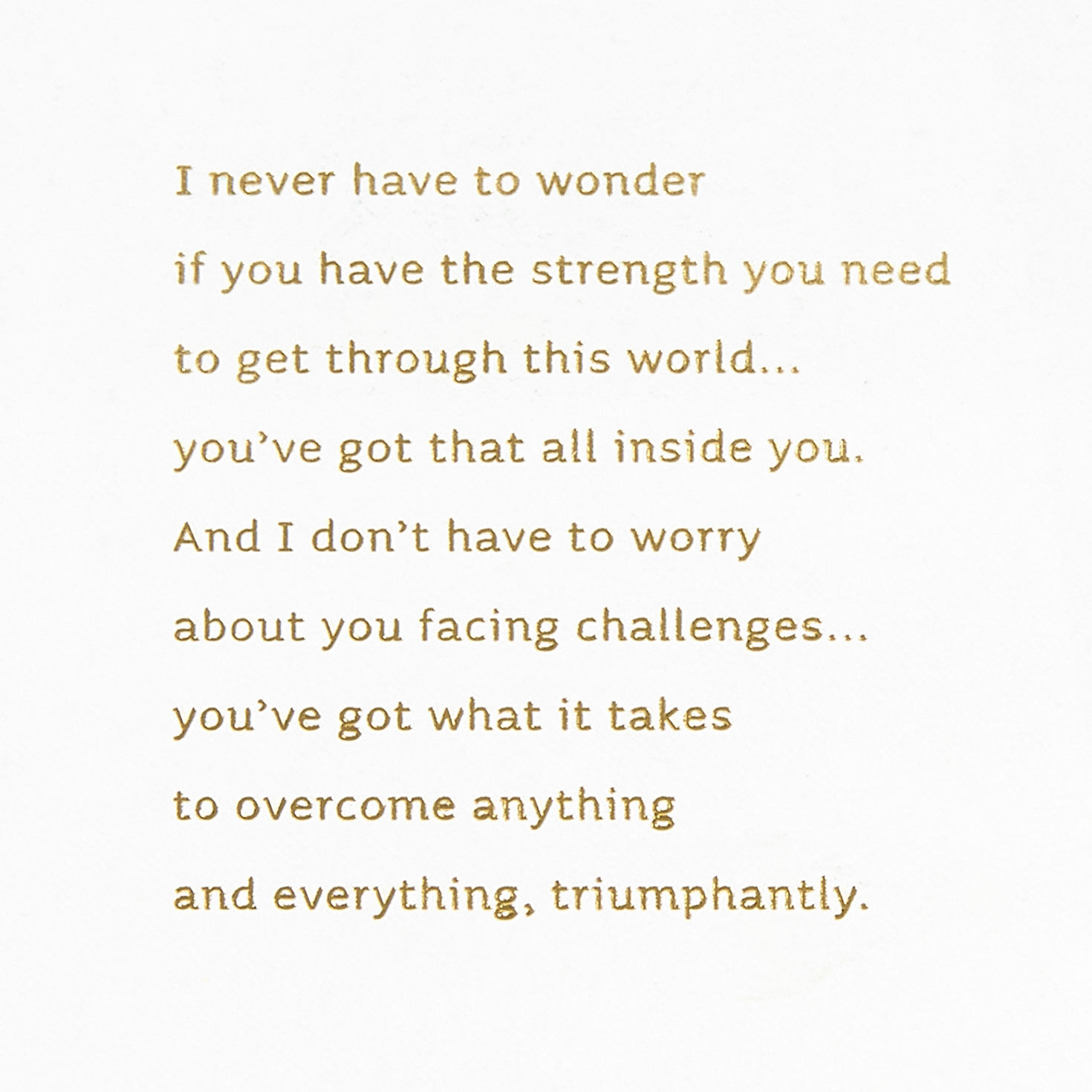 Dove and Trees Son Christmas Card Sentiment image number 2