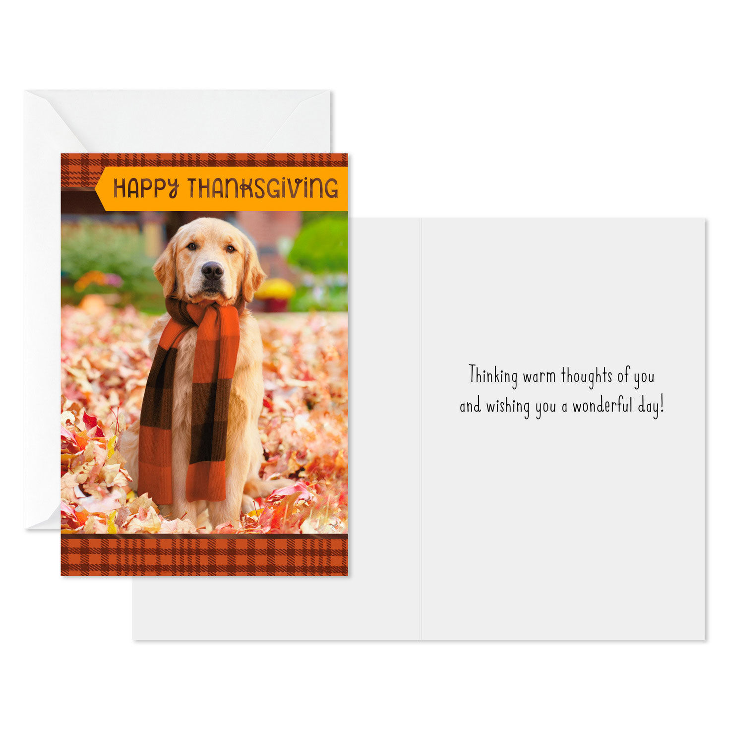 Golden Retriever in Scarf Thanksgiving Card Pack Card Front with Sentiment image number 2
