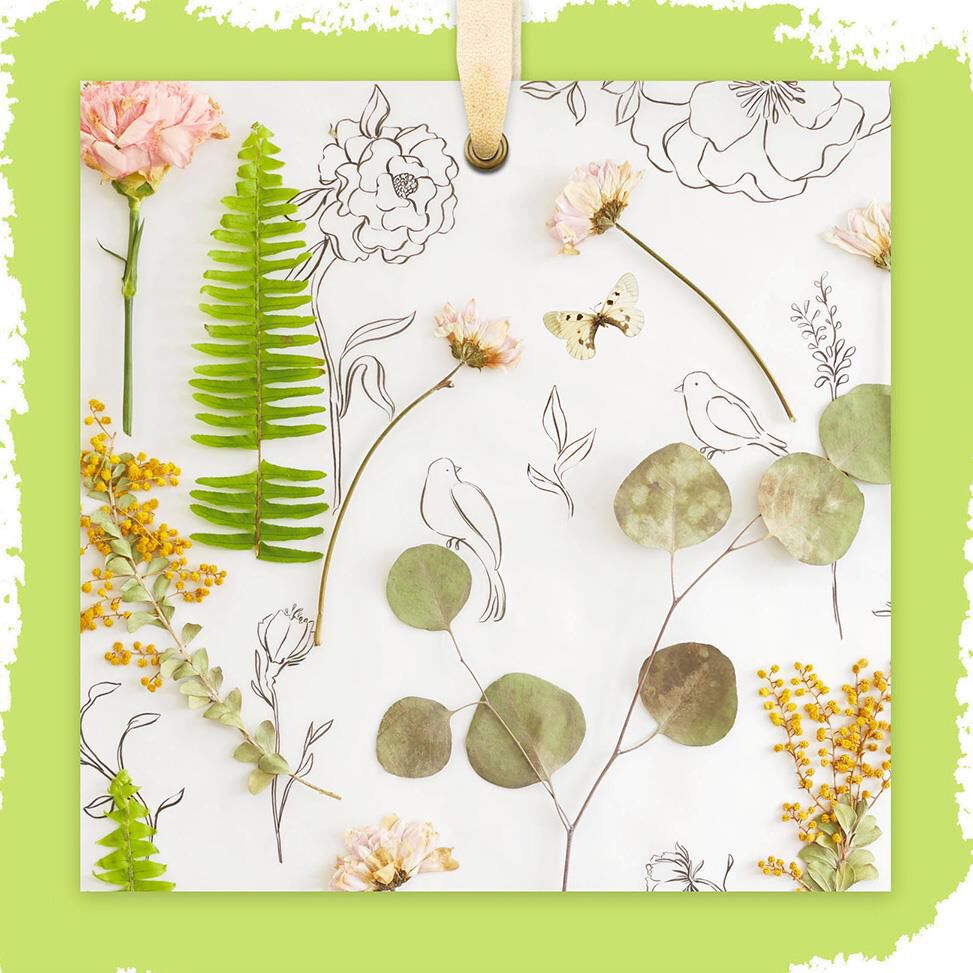 Botanical Collage Blank Card