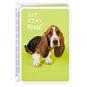 Basset Hound Puppy Dog Cute Get Well Card Card Front image number 1