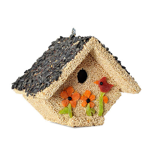 Mr. Bird Spring Fruit Casita Birdhouse, 