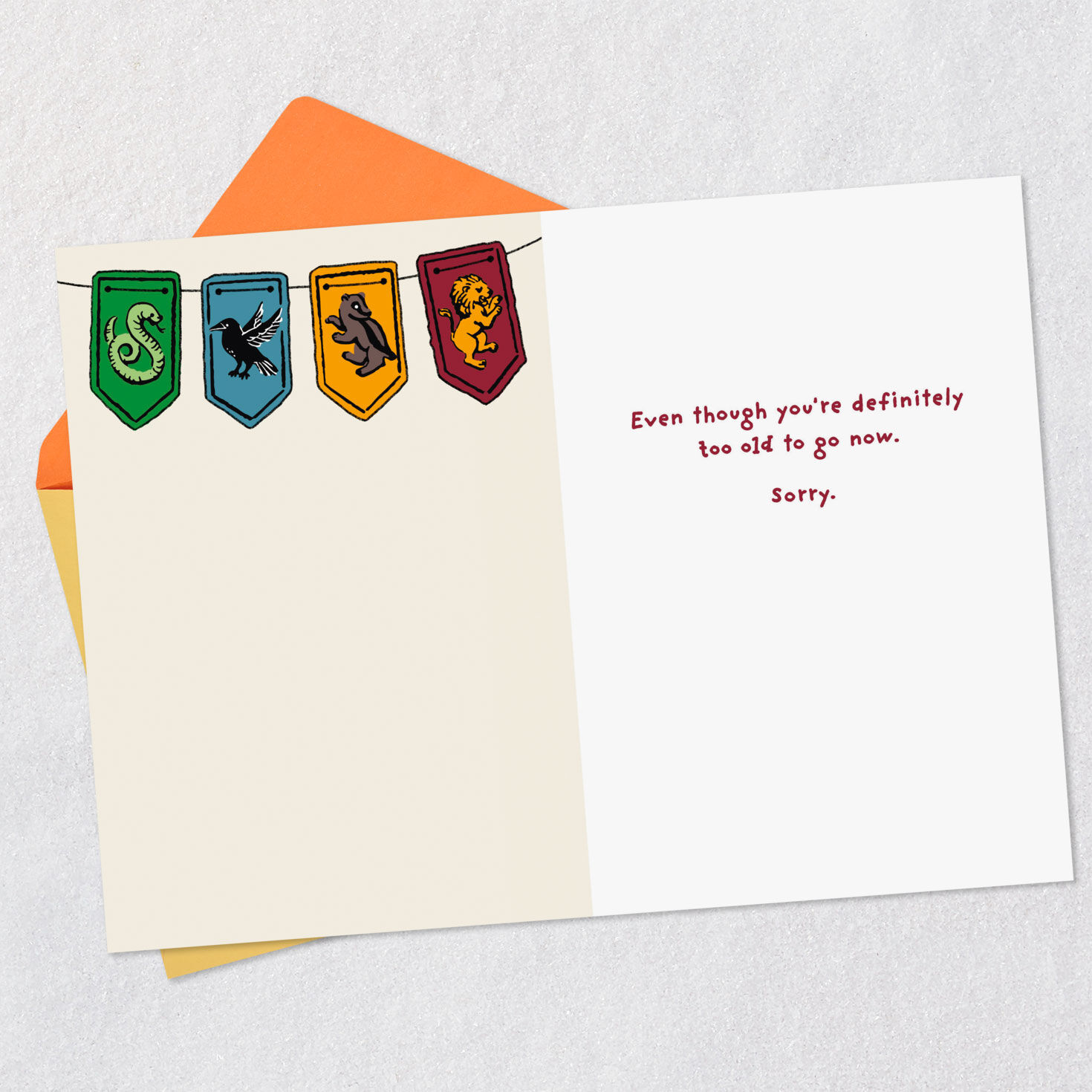 Harry Potter Hogwarts Letter Funny Birthday Card Open card with envelope image number 3