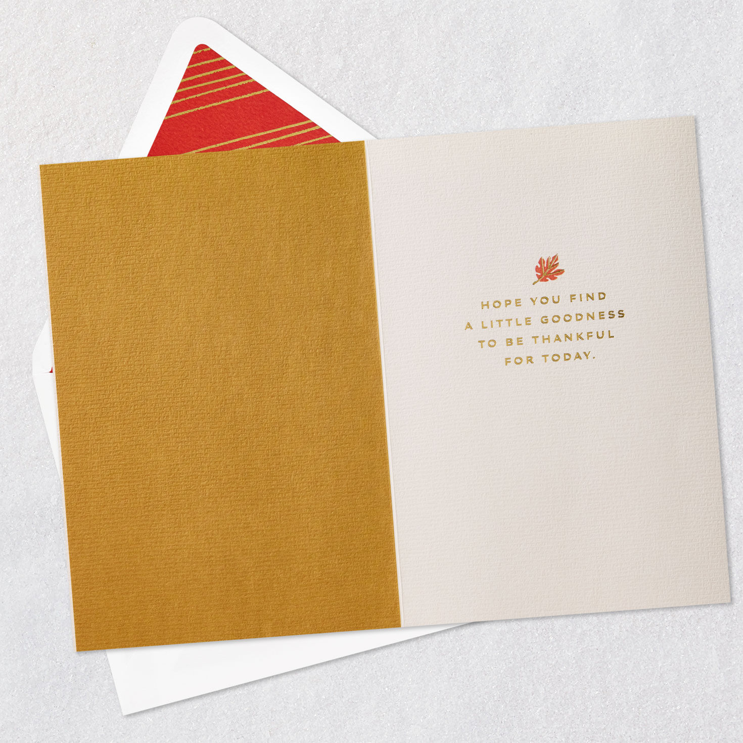Fall Leaves Happy Thanksgiving Card Open card with envelope image number 3