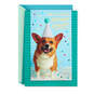 Puppy in Party Hat Birthday Card From the Dog, , large image number 1