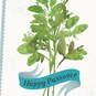 Green Herbs With Banner Passover Cards, Pack of 6, , large image number 4