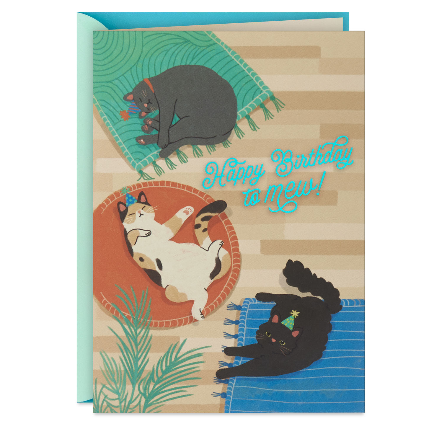 Find Your Sunny Spot Birthday Card From the Cat