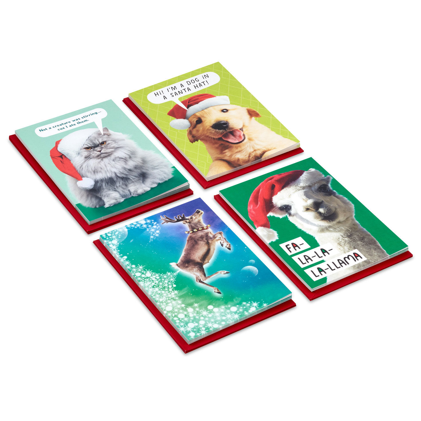 Animal Perspectives Assorted Funny Christmas Cards, Box of 24