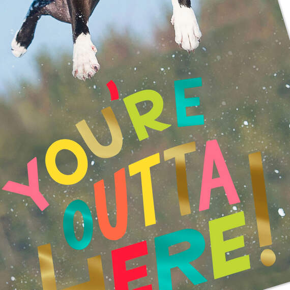 You're Outta Here Jumping Dog Funny Retirement Card, , large image number 4