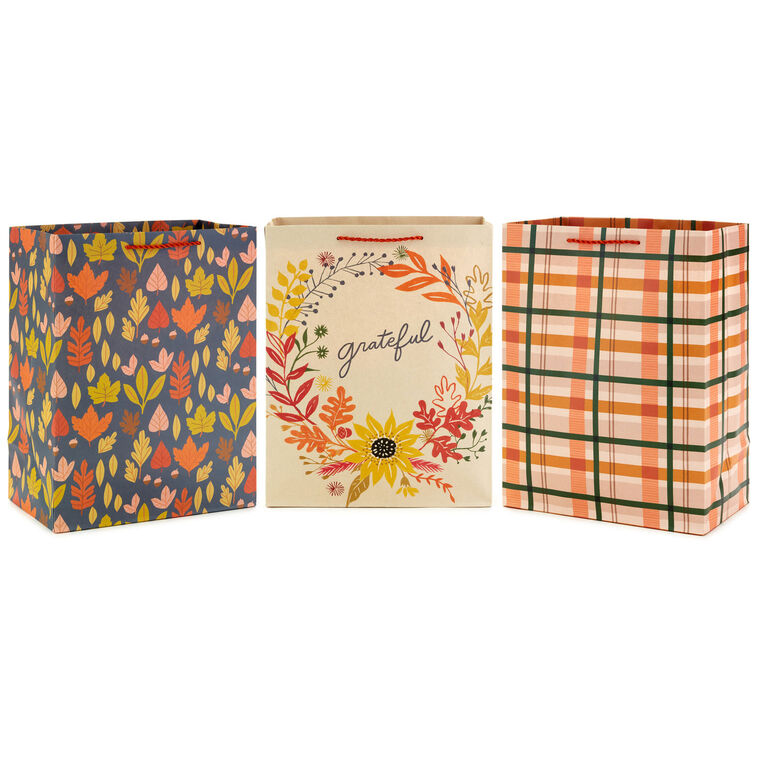 13" Grateful Season 3-Pack Large Gift Bags Assortment