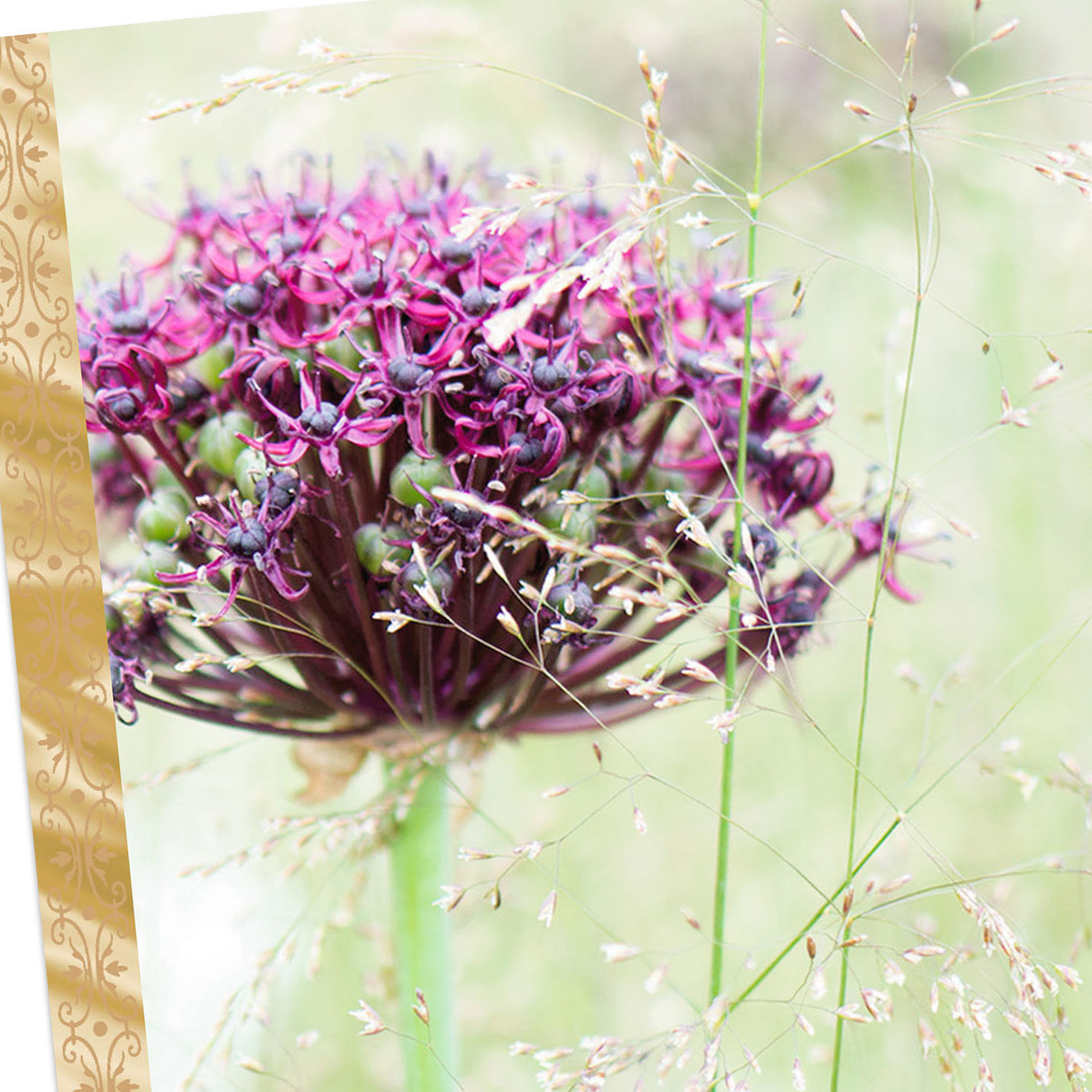 Purple Flower and Grasses Sympathy Card Card Cover Detail image number 4