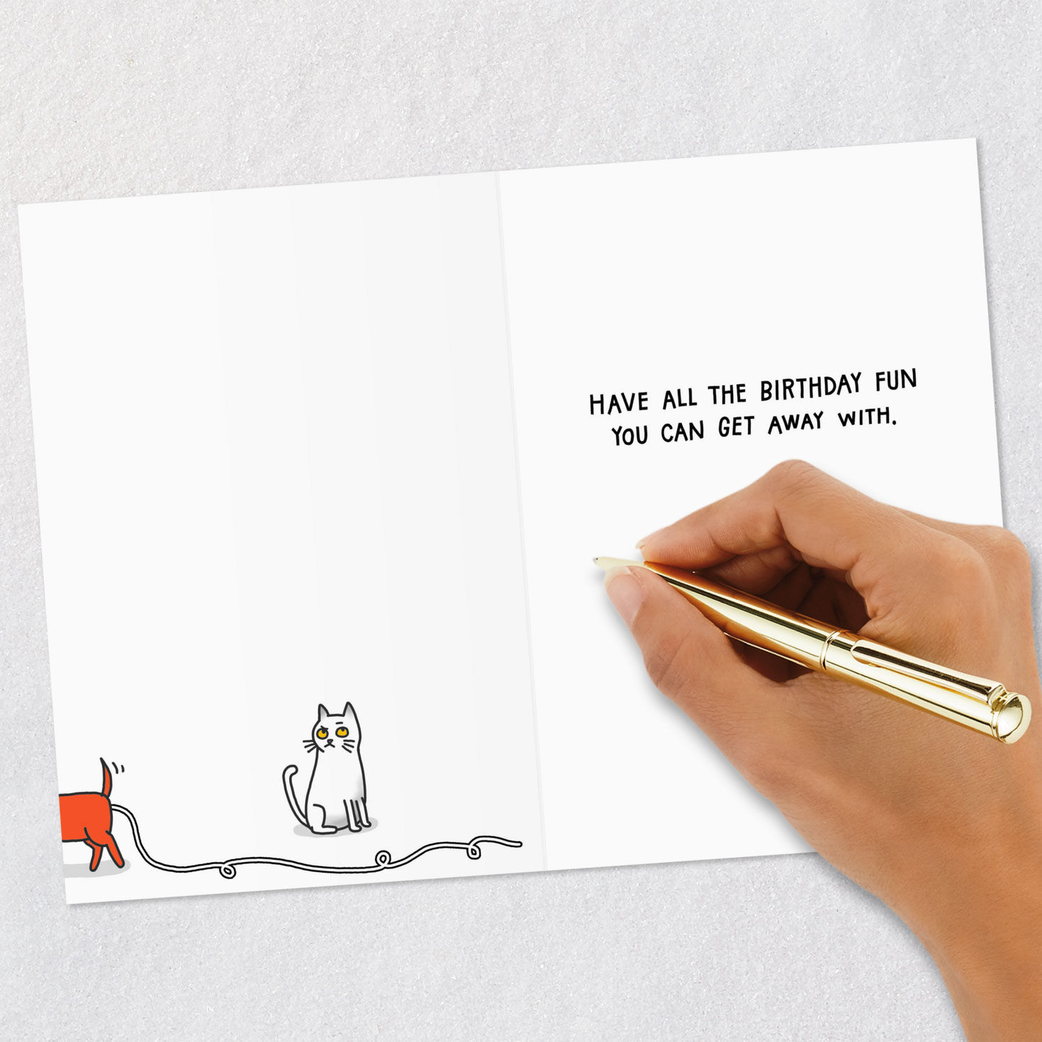 Have All the Fun You Can Funny Birthday Card for only USD 3.99 | Hallmark