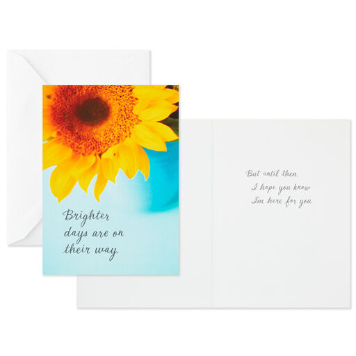 Nature Images Assorted Thinking of You Cards, Pack of 12, 