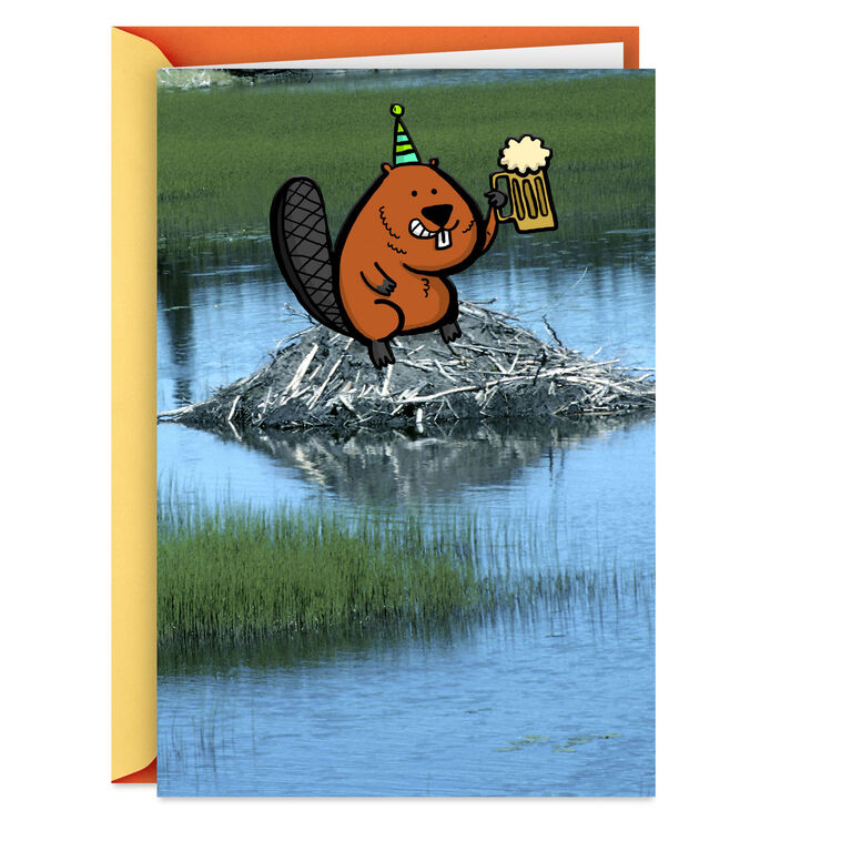 Another Dam Birthday Funny Birthday Card