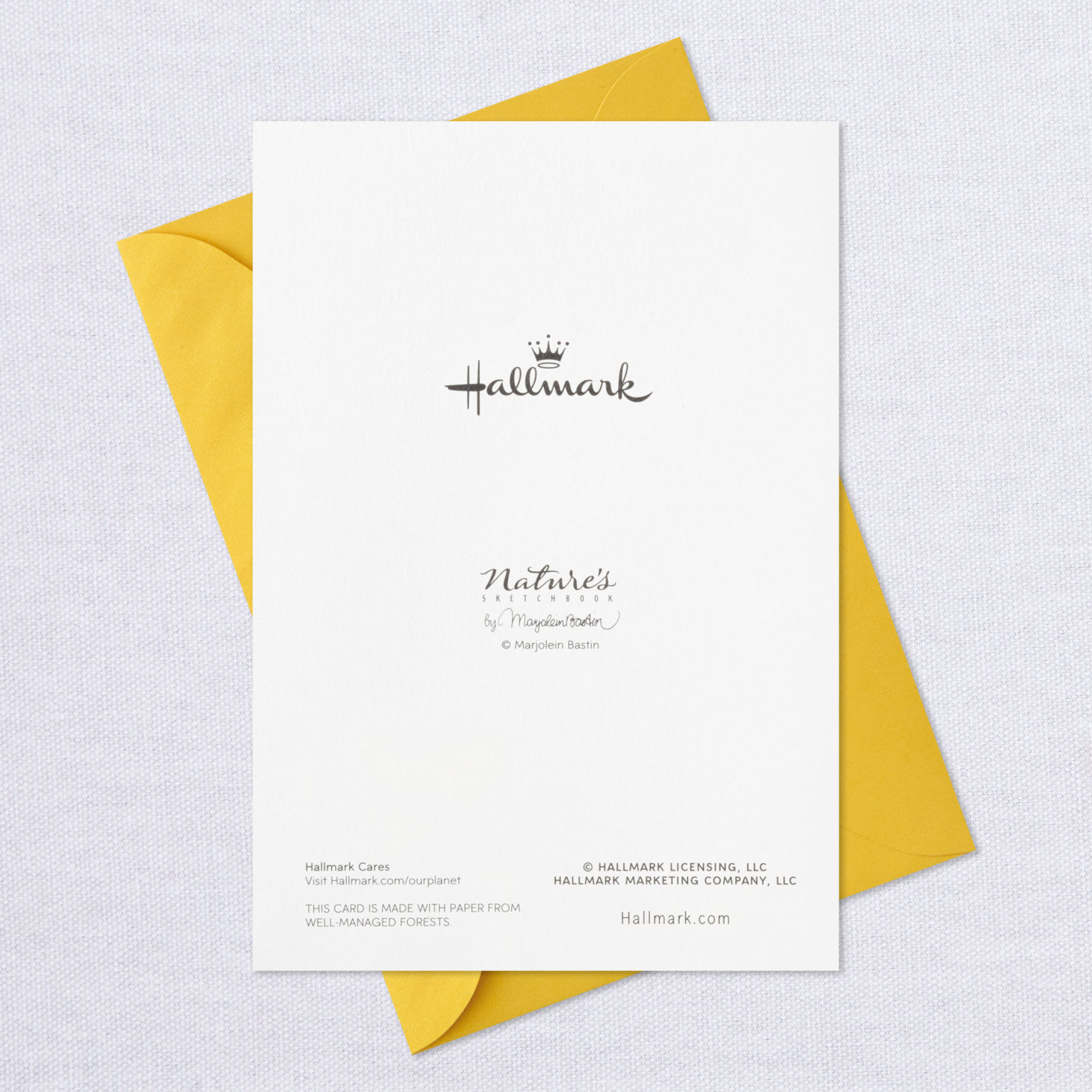 Marjolein Bastin Tulips and Bunny Assorted Easter Cards, Pack of 6, , large image number 6