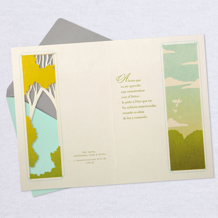 Light and Comfort Spanish-Language Religious Sympathy Card, , large image number 4