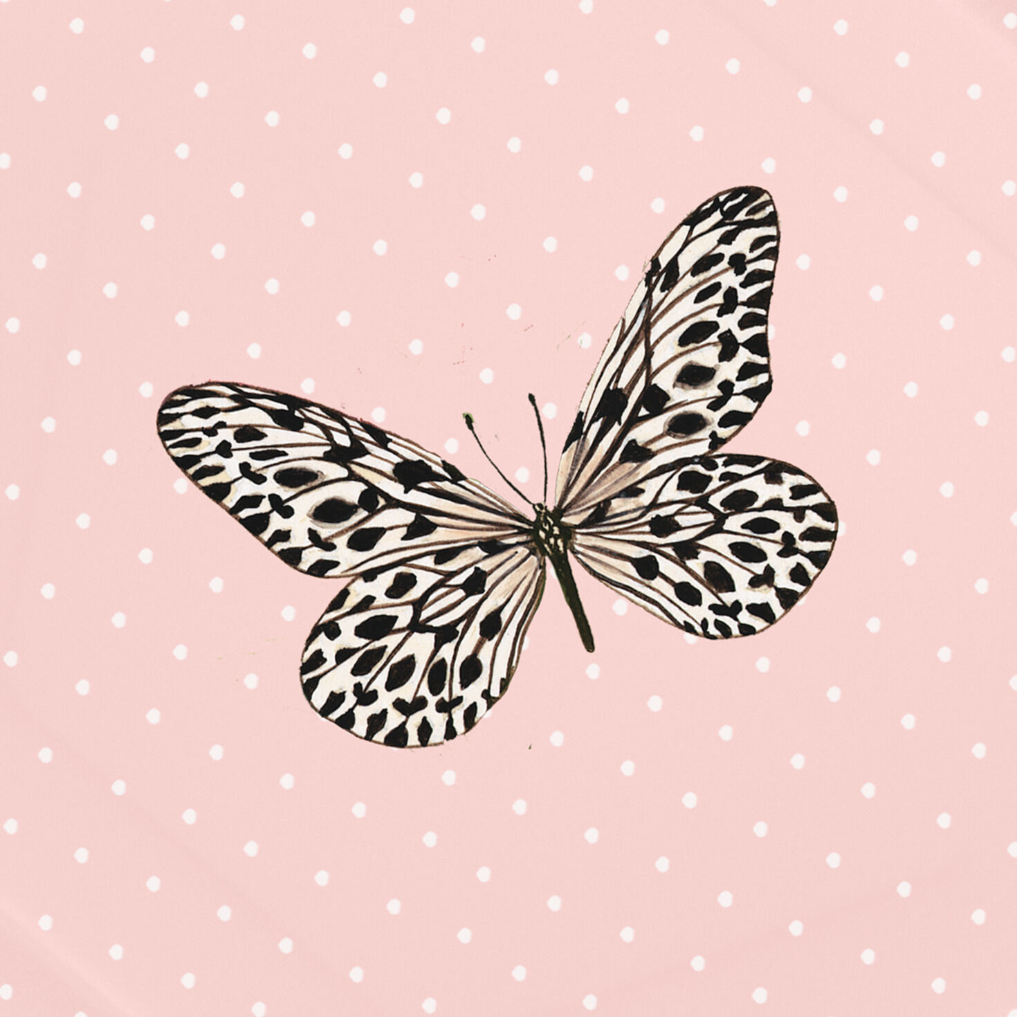 Butterfly on Pink Hexagonal Dessert Plates, Set of 8, , large image number 4