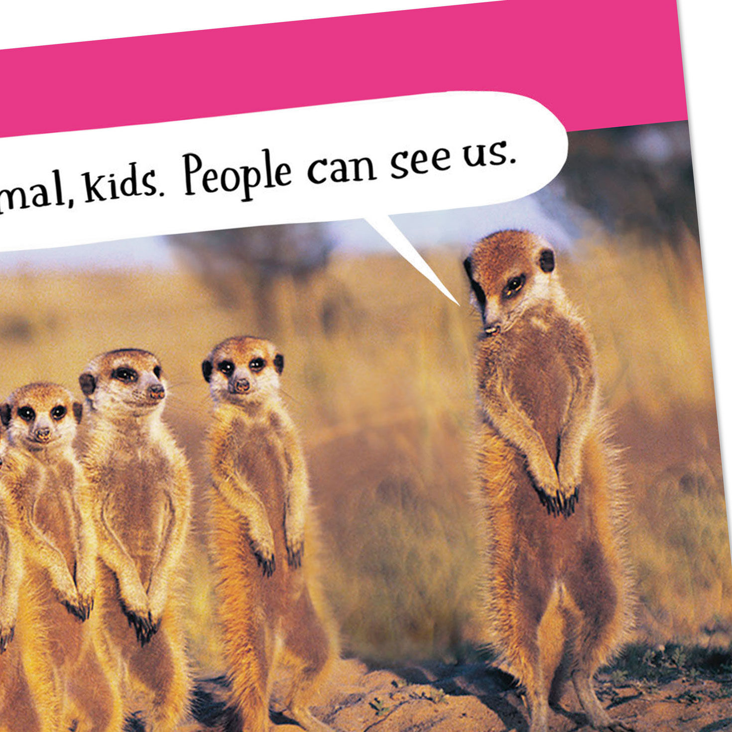 Mom and Baby Meerkats Funny Mother's Day Card Card Front Detail image number 4