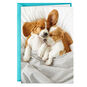 Cuddly Puppies Funny Anniversary Card for Couple Card Front image number 1