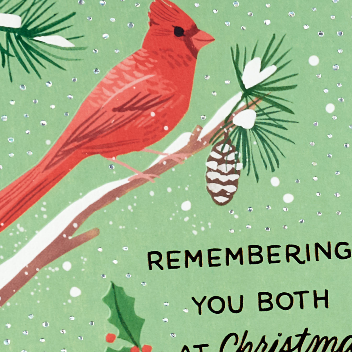 You're So Special Cardinals Christmas Card for Both for only USD 4.59 | Hallmark