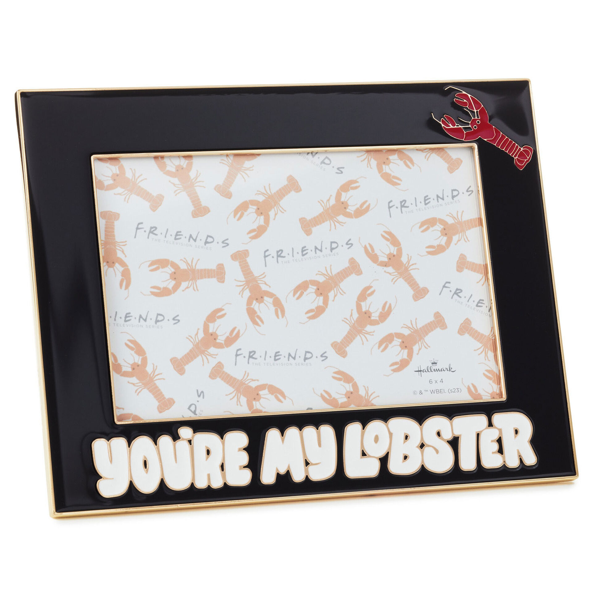 Friends You're My Lobster Metal Picture Frame, 4x6 Picture Frames