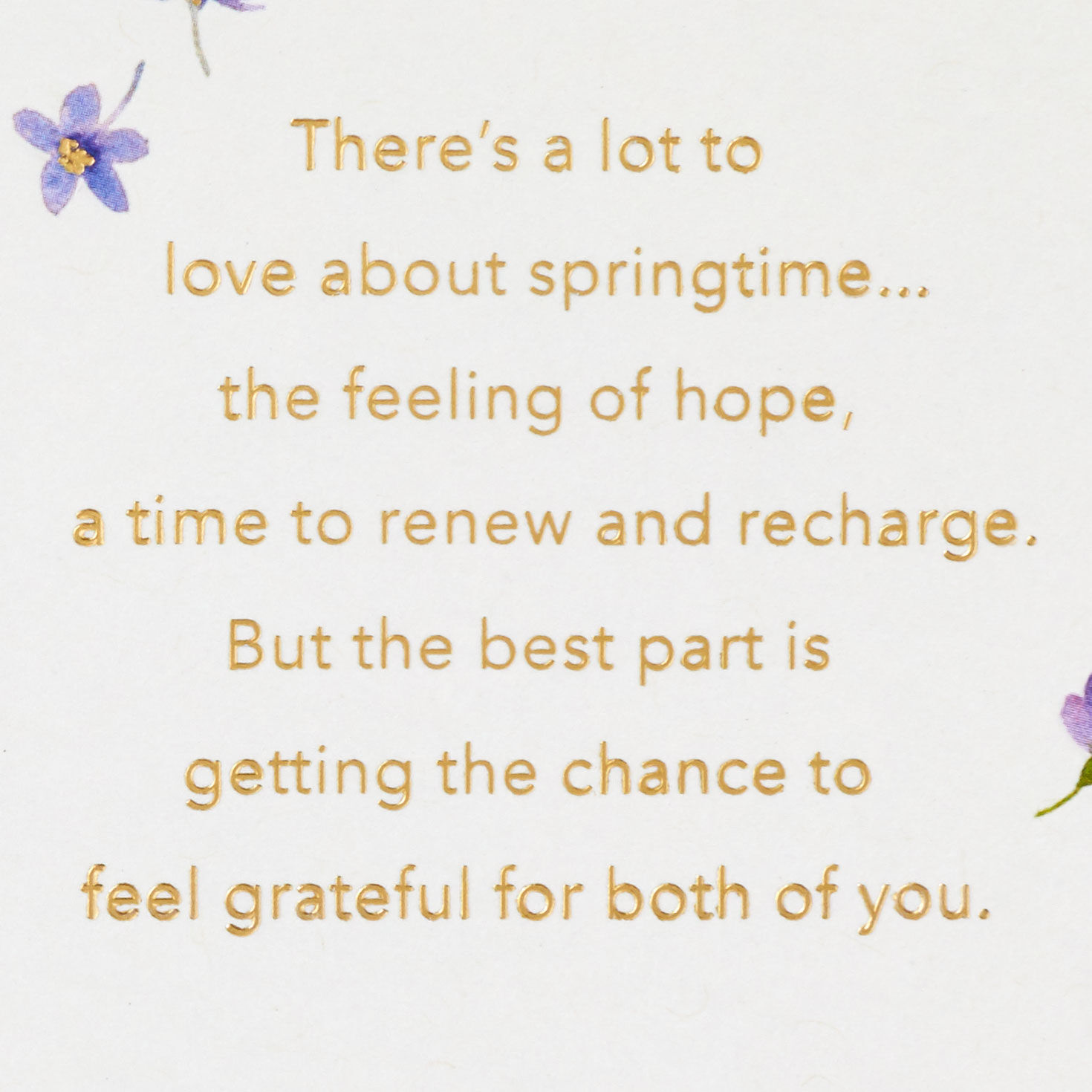 A Spring Filled With Joys Easter Card for Both, , large image number 2