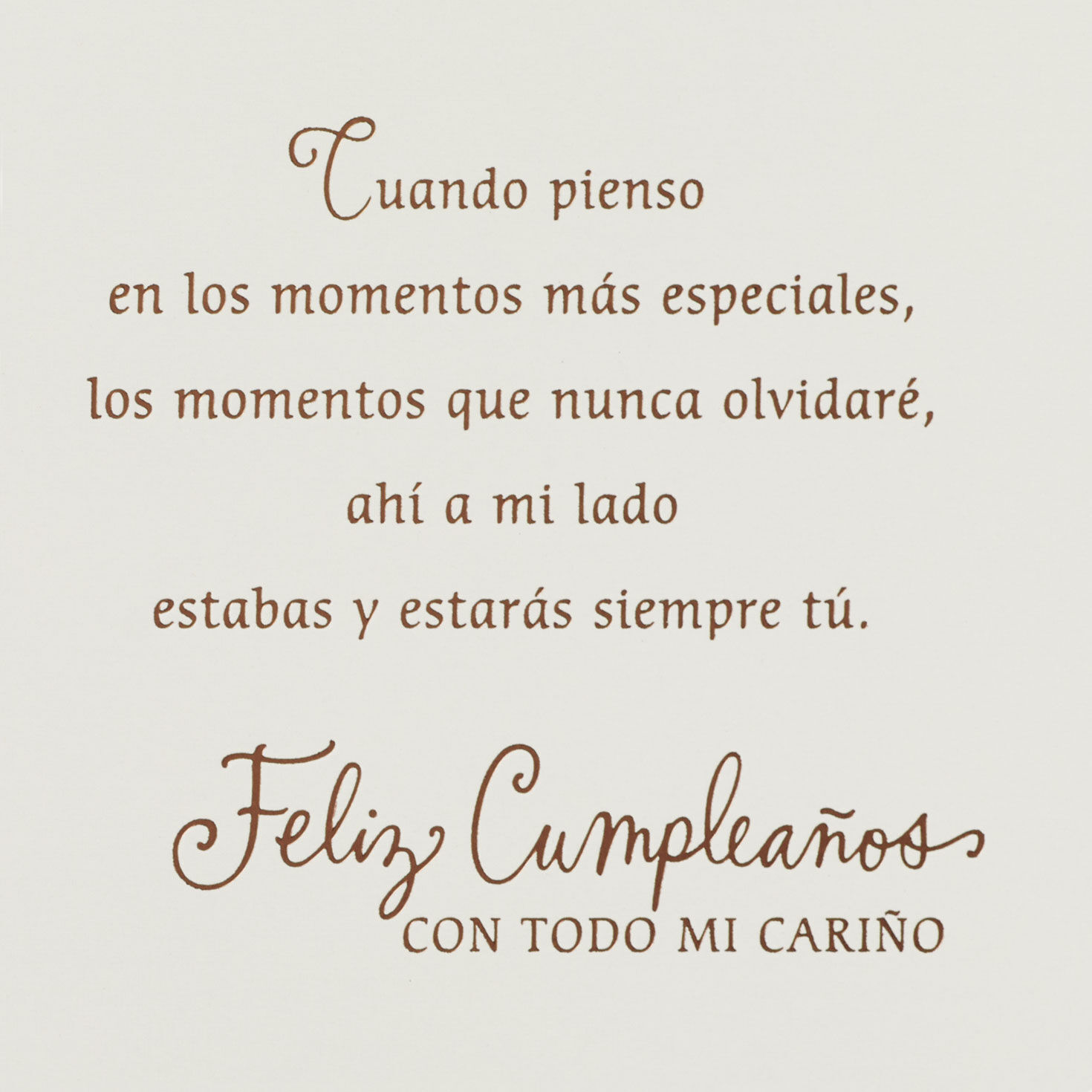 Lifetime of Memories Spanish-Language Birthday Card for Sister 