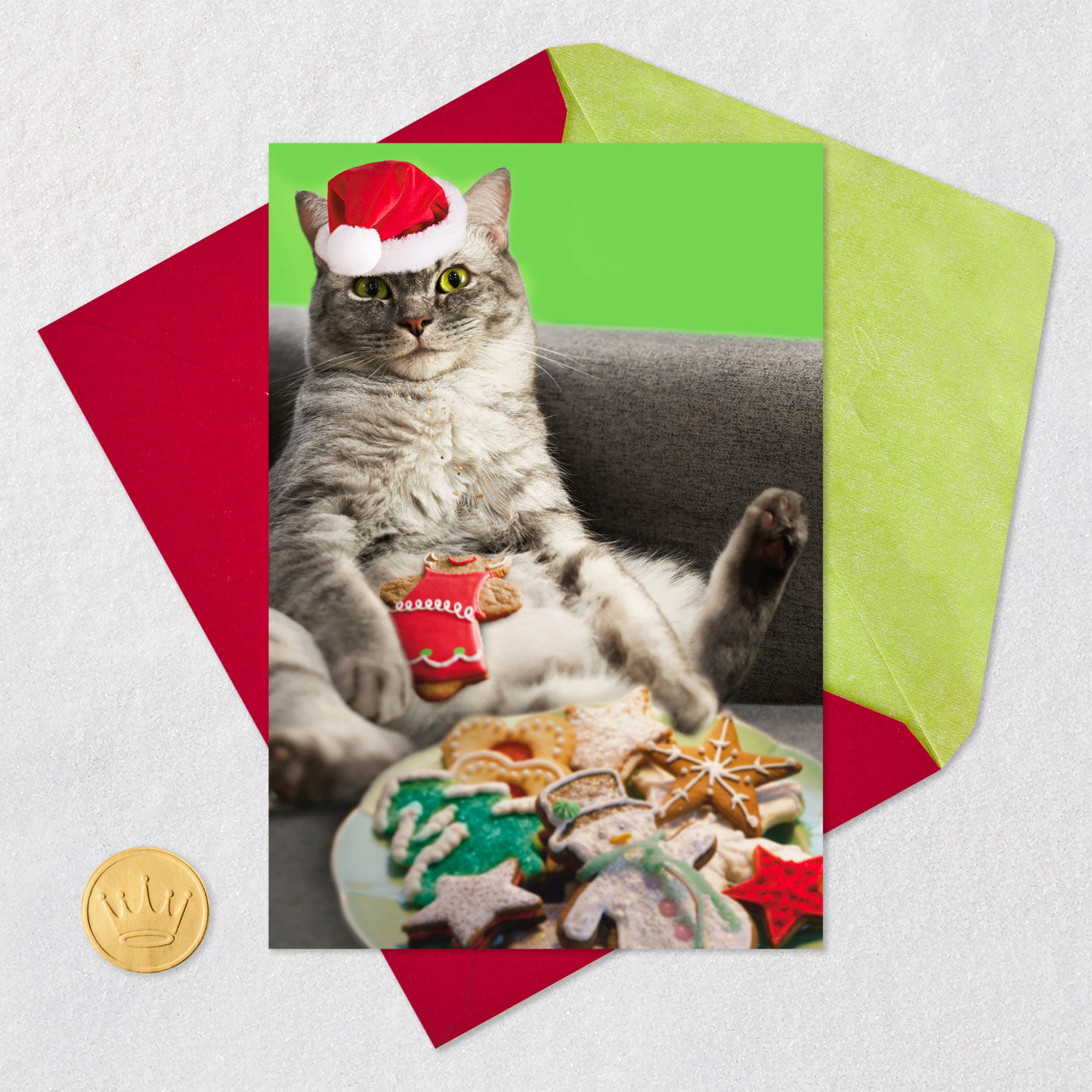Eat All the Damn Cookies Cat in Santa Hat Funny Christmas Card for only USD 3.99 | Hallmark