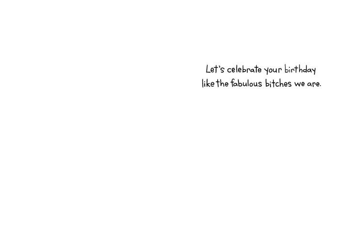 Two Fabulous Bitches Funny Birthday Card