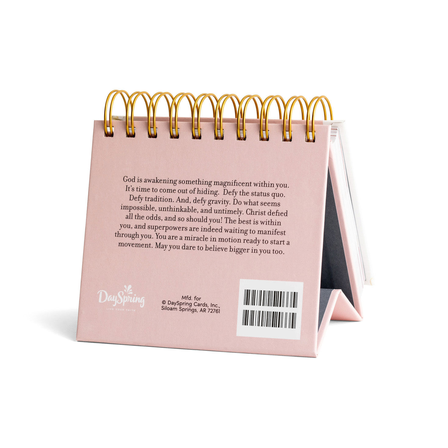 Marshawn Evans Daniels Believe Perpetual Calendar Back image number 2