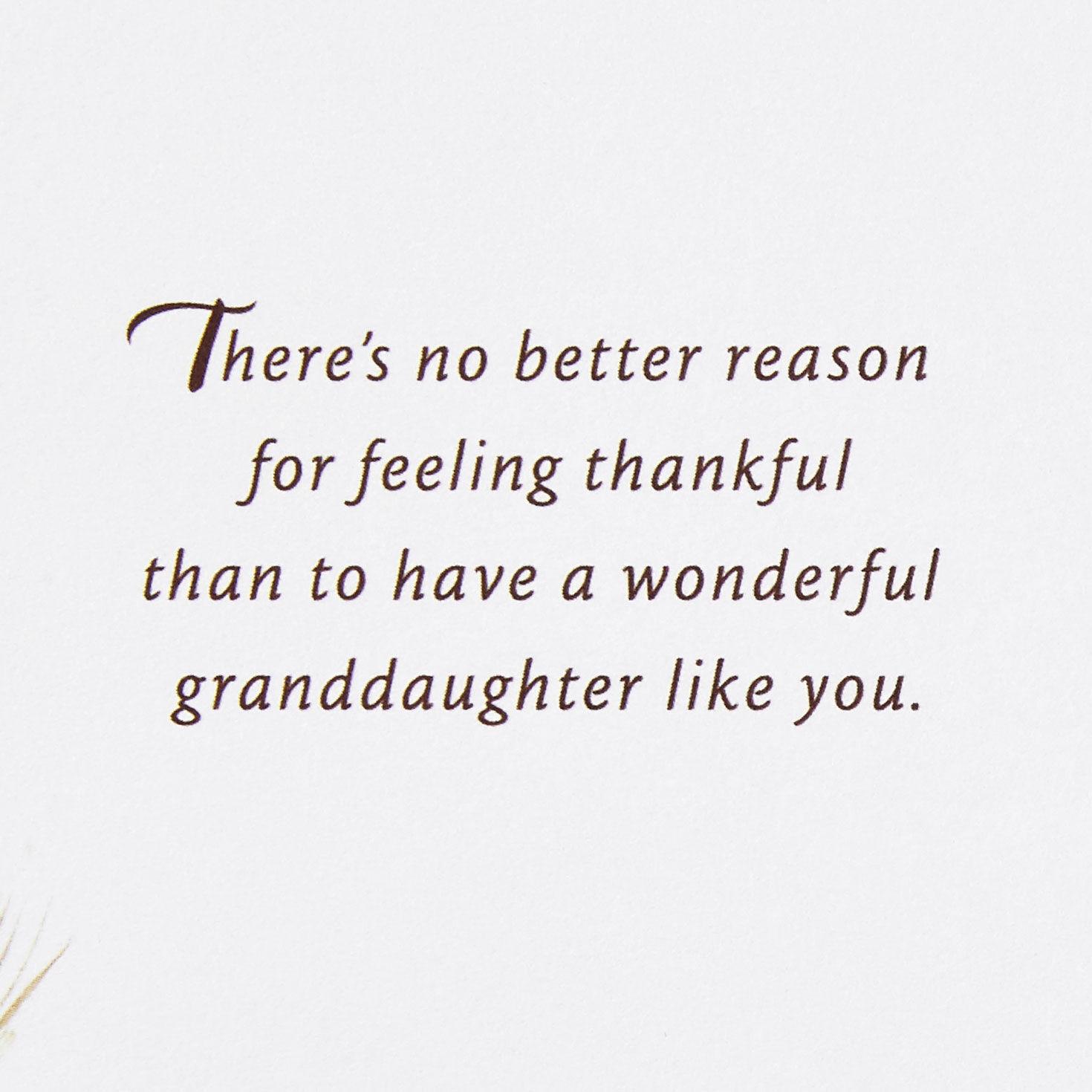 Pumpkin in a Field Thanksgiving Card for Granddaughter for only USD 3.99 | Hallmark
