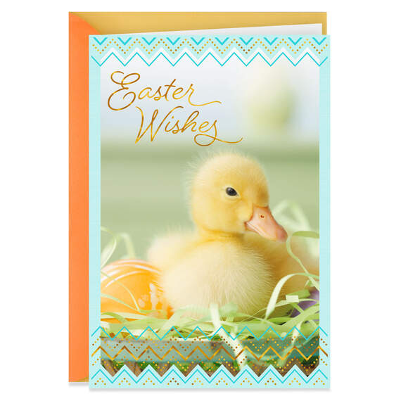 Blessings and Joy Duckling Easter Card