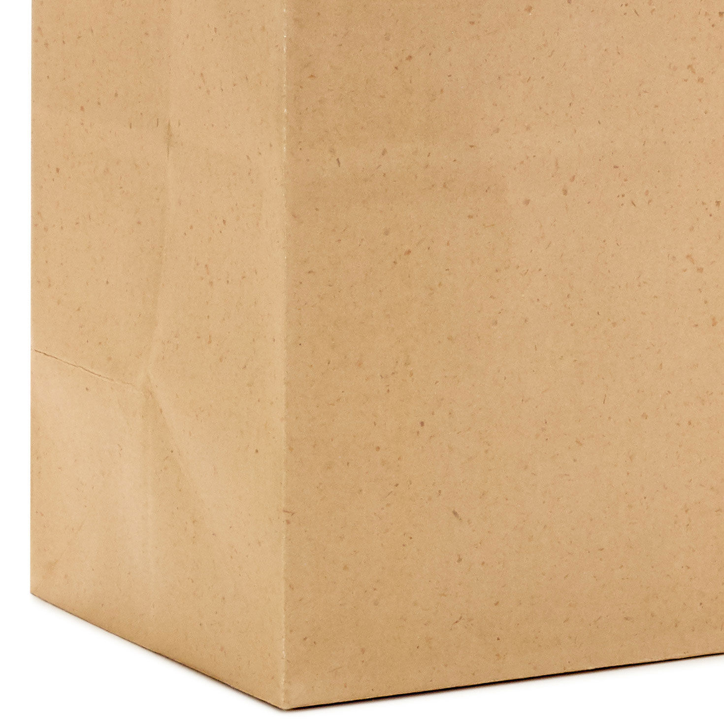 Kraft Medium Gift Bag Base/Side Detail image number 5