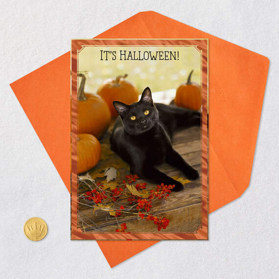 Nine Lives' Worth of Happy Things Halloween Card, , large image number 5
