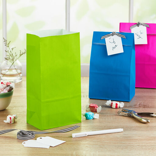 Assorted Colors Paper Goodie Bags, Pack of 30, 